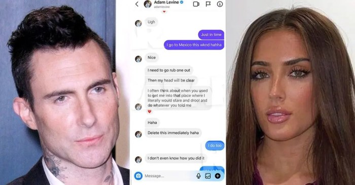 Adam levines wife posted her first photo with the former voice star after his sexting scandal and the comments got pretty intense