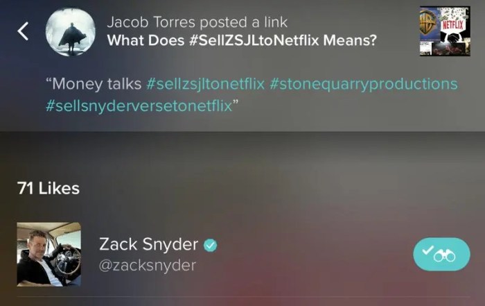 Zack snyder talked about selling his snyderverse to netflix