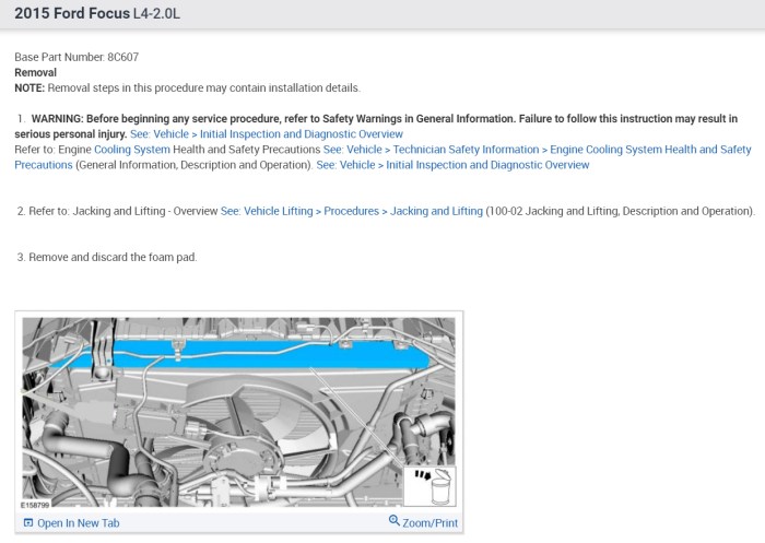 Why you dont need to be a dungeons and dragons fan to enjoy honor among thieves