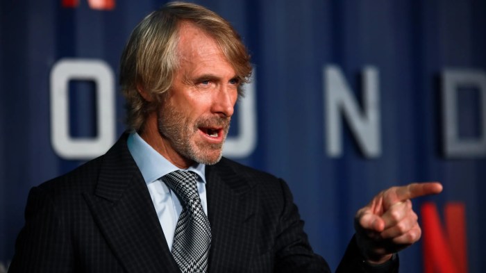 Michael bay has been charged with killing a pigeon while working on netflixs 6 underground