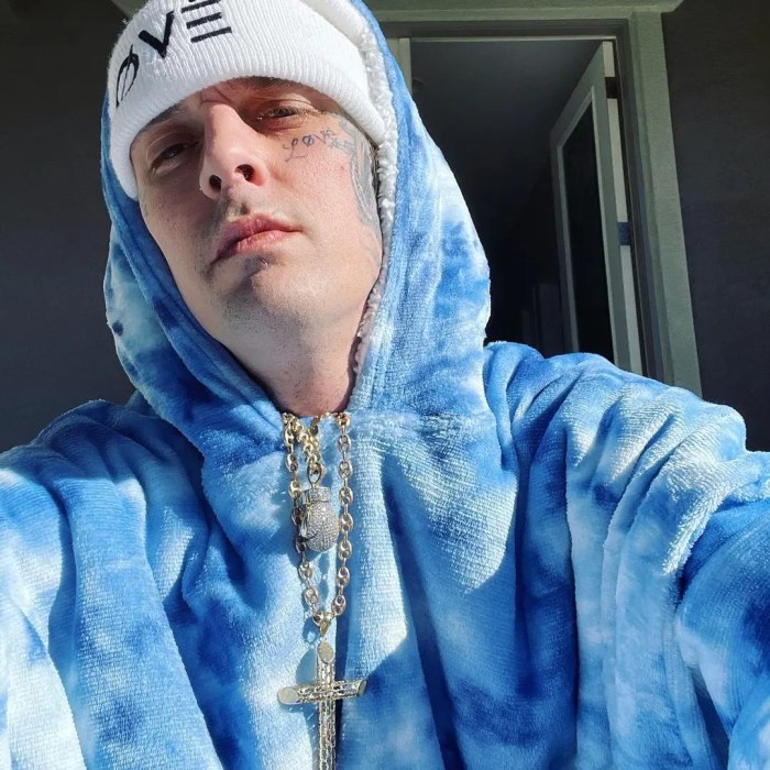 Aaron carters fiancee responds to i want candy singer being left out of the grammys in memoriam tribute