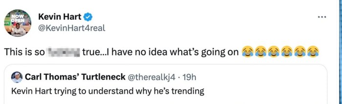 Shaq hart tweeted 2957 Kevin hart has no idea why fans are making a slew of memes of him but hes very amused
