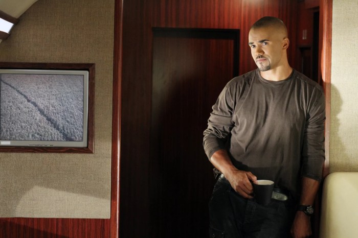 Criminal minds and swat star shemar moore announces hes having a baby in sweet post
