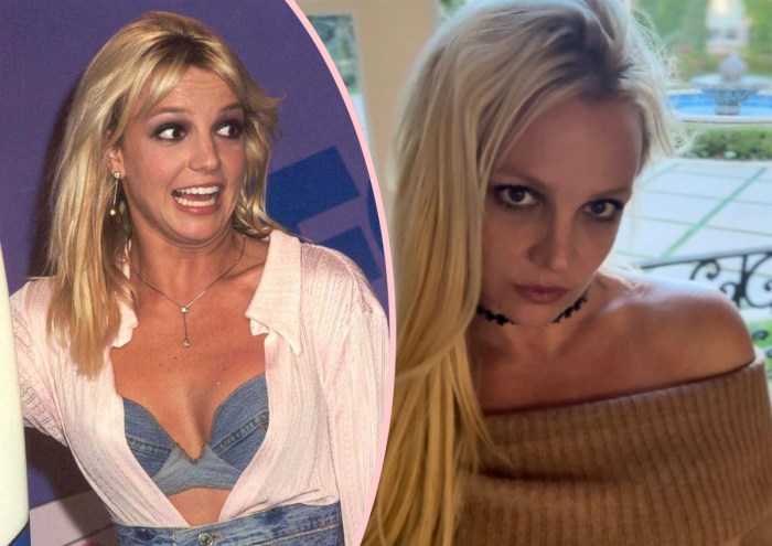 Britney Spears Bravely Admits Her Fears Around Newfound Freedom: 'I'm ... Britney spears says she has to tone down the silliness so people dont say shes cray cray