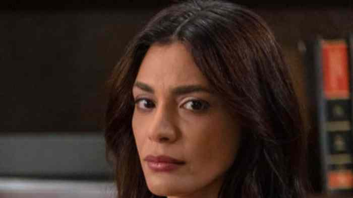 Law and order did price make the wrong decision for maroun in the latest gruesome case