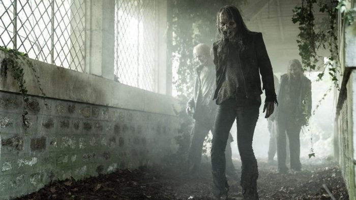 Norman reedus walking dead spinoff reveals daryl dixons new non motorcycle mode of travel