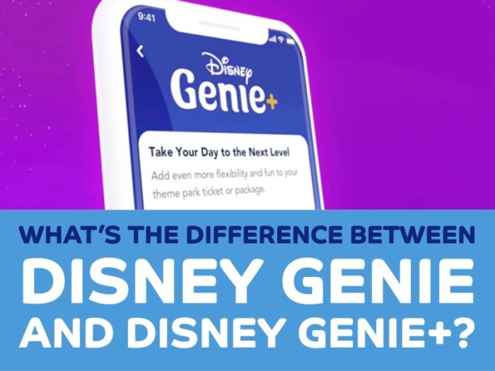 The best thing about disney parks genie that nobody is talking about