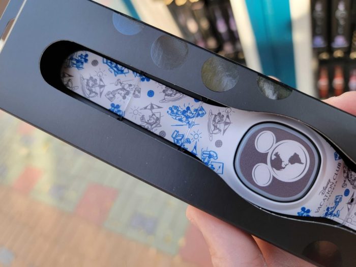 Is the magicband worth buying for disneyland resort