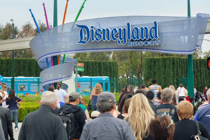 Disneyland is being sued following a tragic jungle cruise accident