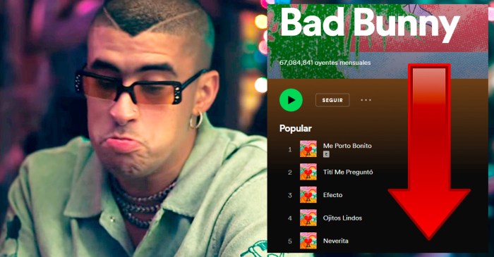 After bad bunny defends throwing fans phone in the water the internet has thoughts