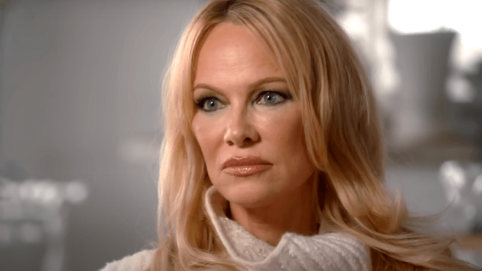 Anderson pamela famous birthdays worth famousbirthdays categories Pamela anderson was on one of the most famous shows in the world shes still spent most of her life in debt