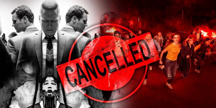 Ted Sarandos insists that Netflix has “never canceled a successful show ... Fans called out netflix head honcho after he said streamer had never canceled a successful show now the data proves they were right