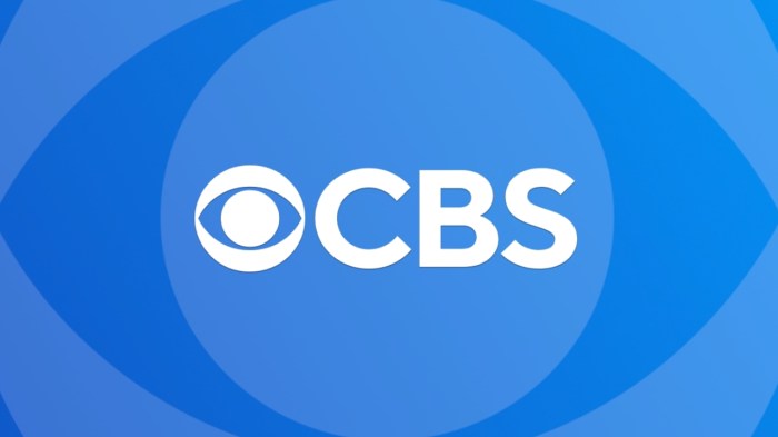 Cbs renewed a bunch of shows why blue bloods wasnt among them