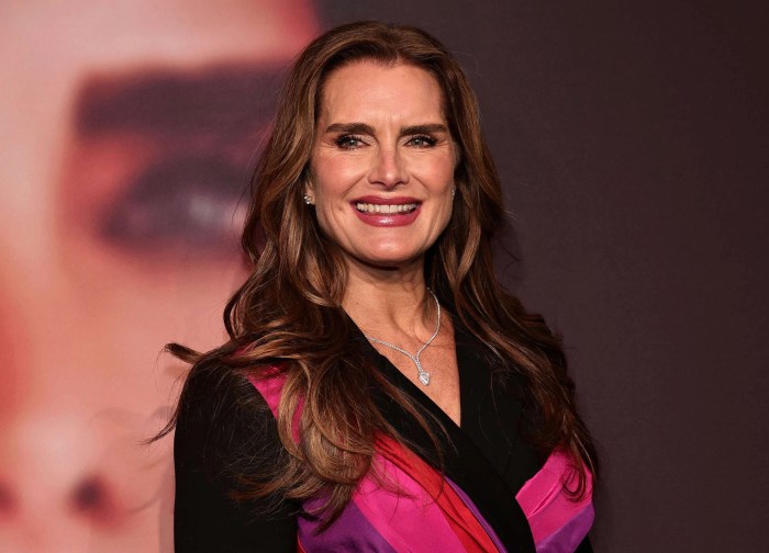 8 major topics brooke shields talks about in her powerful new documentary