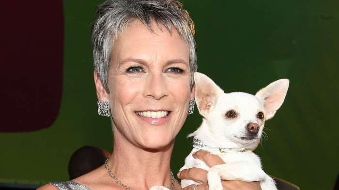 Jamie curtis aging Jamie lee curtis talks aging and breaking the box office for halloween ends