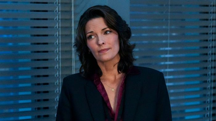 Fbi origins counterintelligence How fbi proved all over again that isobel deserves to be in charge of cbs fbis