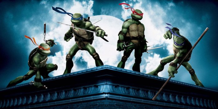 Seth rogen explains his teenage mutant ninja turtles movies totally tubular connection to tony hawk