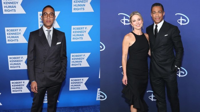 Ex bachelor host chris harrison has a lot of strong opinions about gmas amy robach and tj holmes amid suspension and investigation