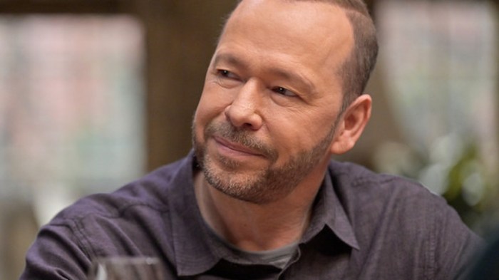 Blue bloods donnie wahlberg reveals big magnum pi reunion is coming for tom selleck