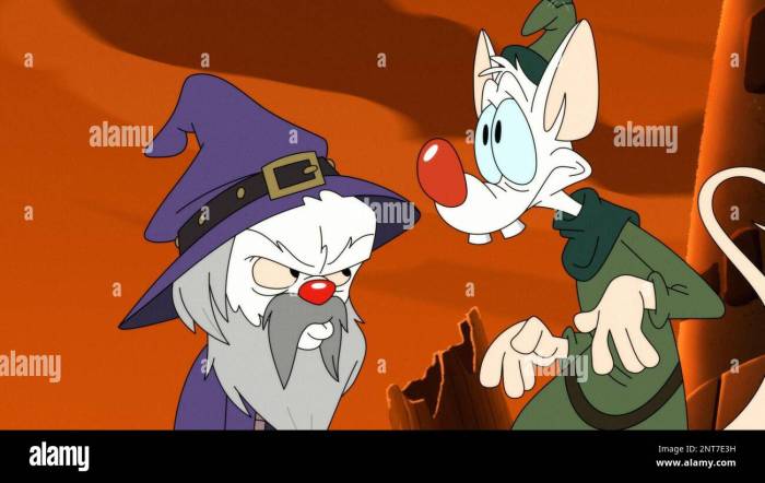Pinky brain respectively paulsen rob lamarche maurice voices comments pics Animaniacs stars maurice lemarche and rob paulsen have pitch for a pinky and the brain movie and i dig it