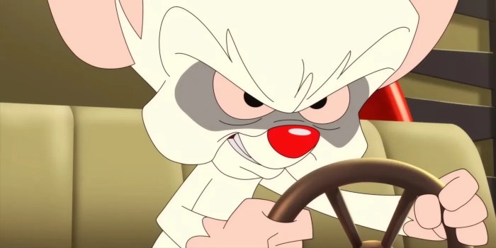 Voice tara strong rob paulsen cree summer maurice lamarche phil characters lamarr legends acting quotes pmc toon girls futurama over Animaniacs stars maurice lemarche and rob paulsen have pitch for a pinky and the brain movie and i dig it