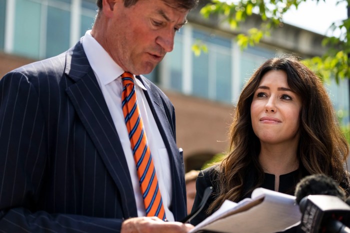 Johnny depps lawyer landed a high profile tv gig but not everyone is reportedly happy about it