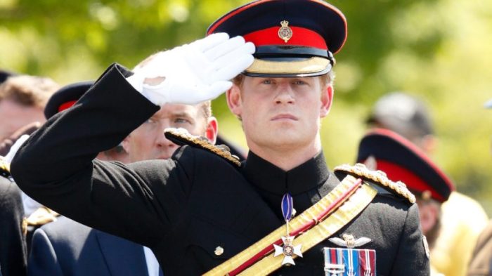 Someone actually went through spare and counted the number of times prince harry mentioned his private parts