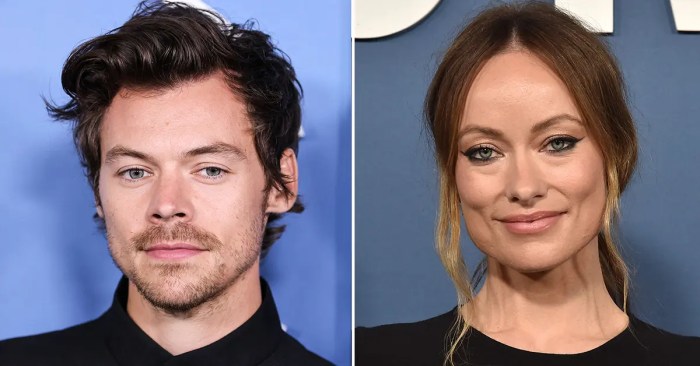 Where olivia wilde and harry styles reportedly stand months after their breakup