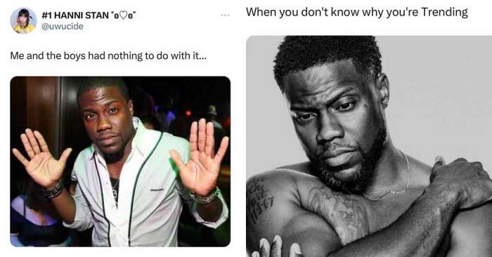 Kevin hart has no idea why fans are making a slew of memes of him but hes very amused