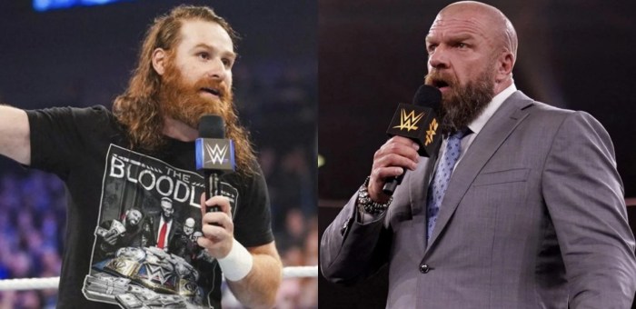 Wwes triple h compares sami zayn to a wrestling legend following elimination chamber