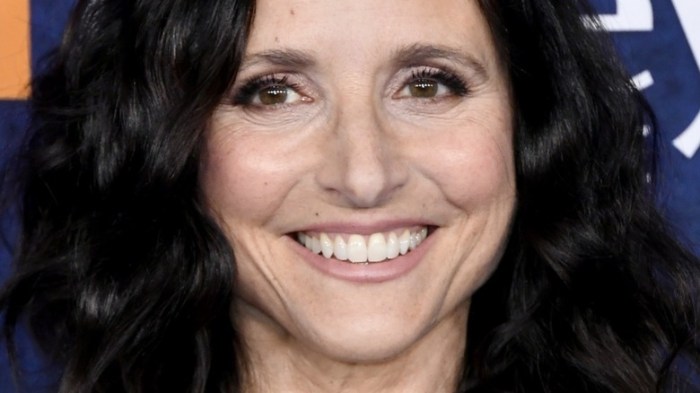 After black panther 2 cameo julia louis dreyfrus had a big request for thunderbolts