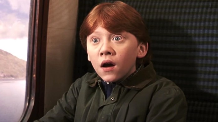 Rupert grint says he would return to harry potter but he has some conditions