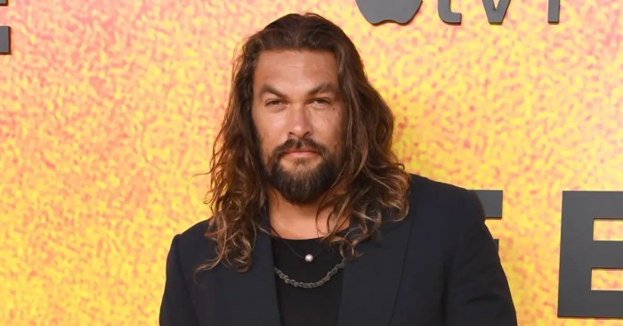 Jason momoa comments on the future of aquaman amid lobo rumors