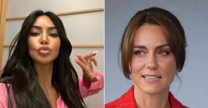 Nomansskythegame Kim kardashian gets trolled a lot but ive never seen anything like yes ex julia fox carrying a human sized handbag that looks like her