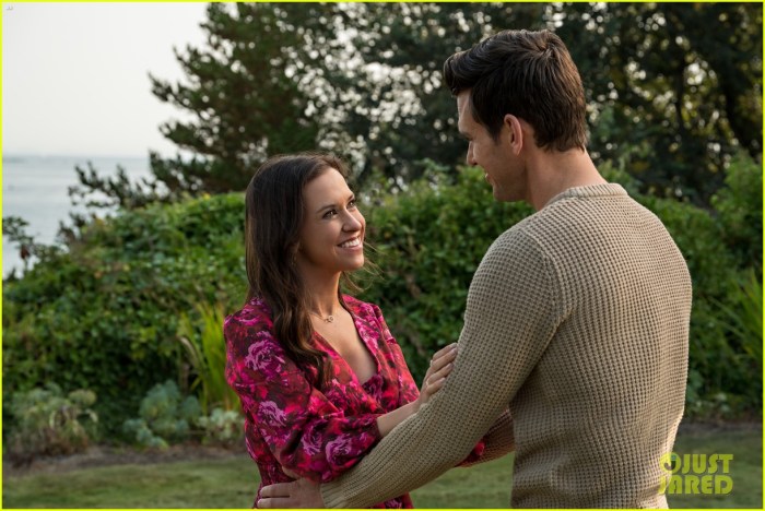 The wedding veil expectations what to know before you watch hallmarks next franchise film