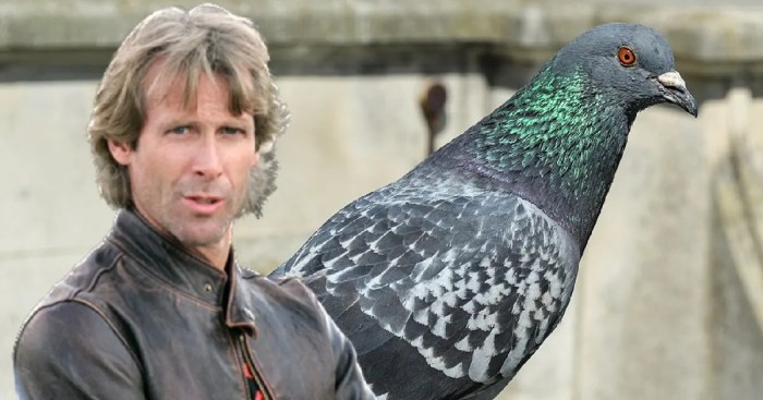 Michael bay has been charged with killing a pigeon while working on netflixs 6 underground