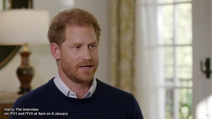 Story prince harry wrote about losing his virginity and getting his bottom smacked like a young stallion allegedly confirmed but not so fast