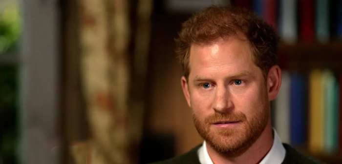 Someone actually went through spare and counted the number of times prince harry mentioned his private parts