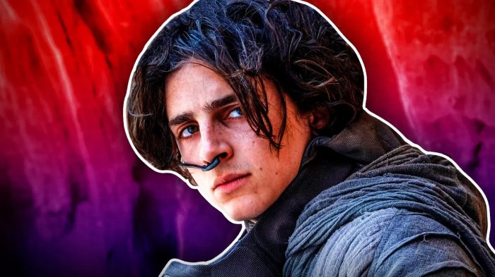 Timothee chalamets agent says he hasnt had to audition for roles in more than 7 years after gladiator 2 rumors rolled around
