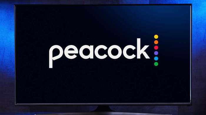 Peacock premium is now dollar2999 for a full year but time is running out
