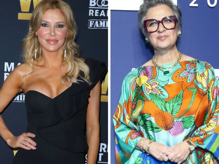 Real housewives brandi glanville denies wrongdoing in caroline manzo situation and the internet has thoughts