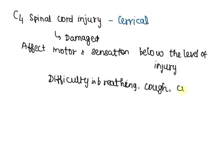 Carmen electra revealed shes skilled with a whip after the of star got the bedroom present as a joke
