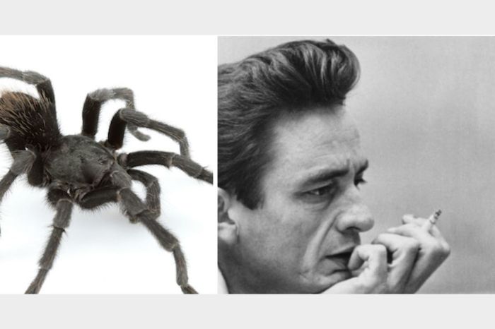 Newly uncovered johnny depp interview has the actor making a surprising personal admission not the great extrovert that people think