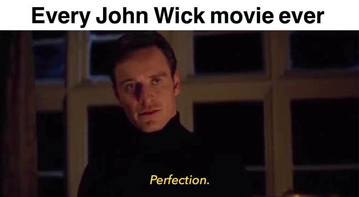 I finally watched all of the john wick movies and they blew my freaking mind