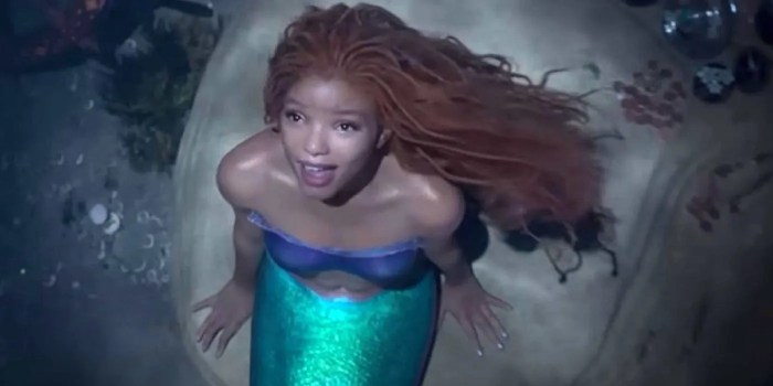 Halle bailey explains how the little mermaids story has been updated to be about more than just a boy